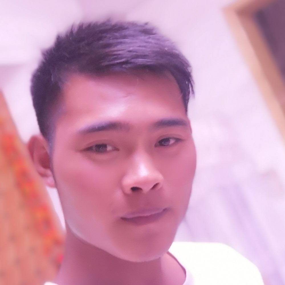 小海豚含糊的照片