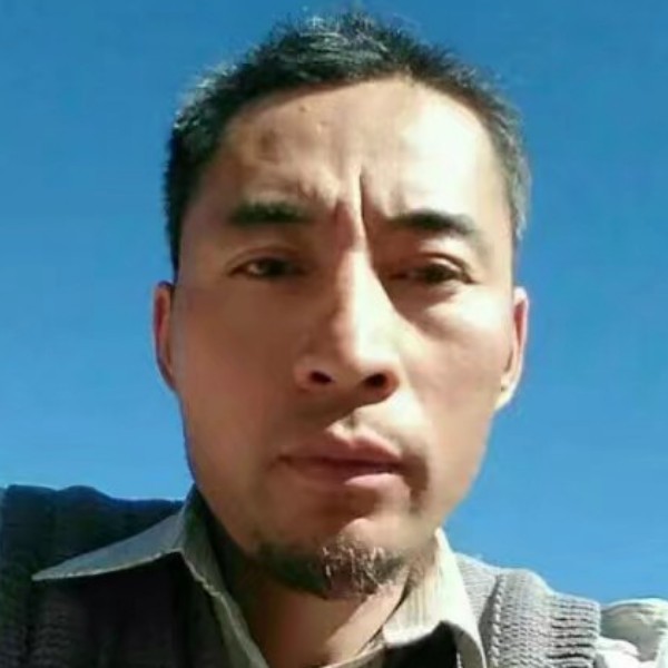 苹果给大神的照片