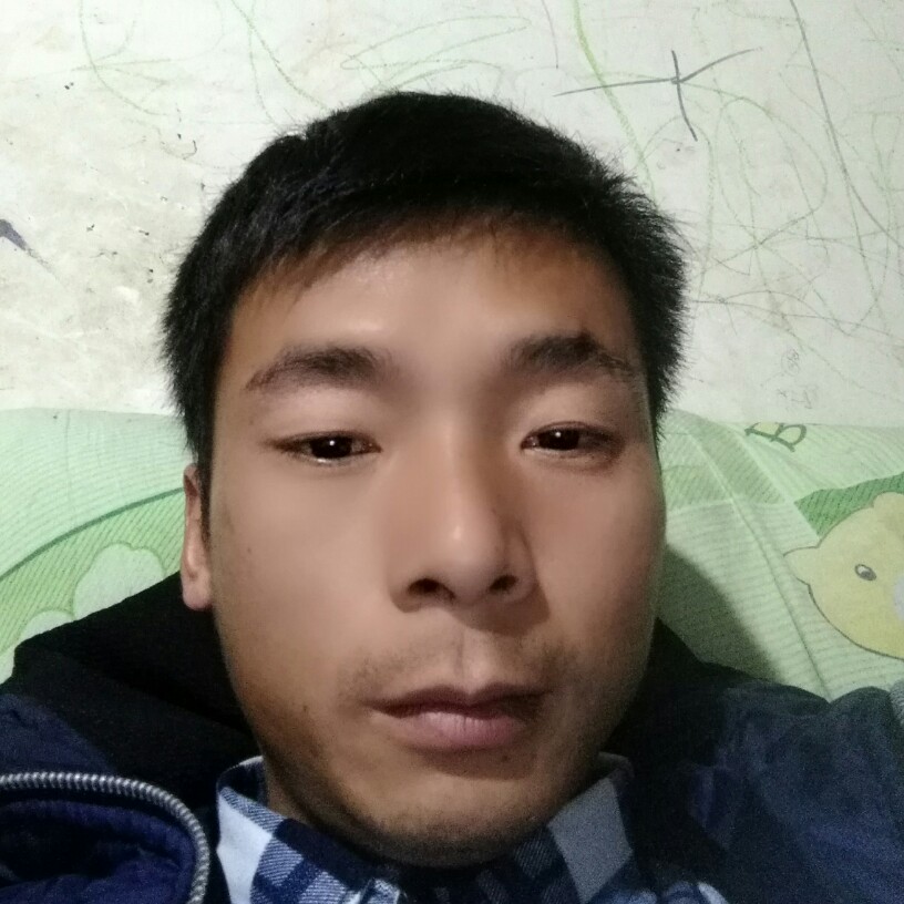 舒适老鼠的照片