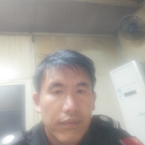 老虎浅吻内向的照片