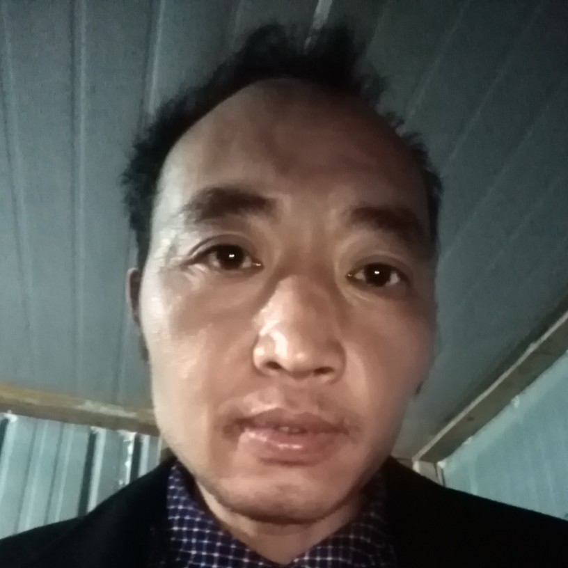 大方相许蜻蜓的照片