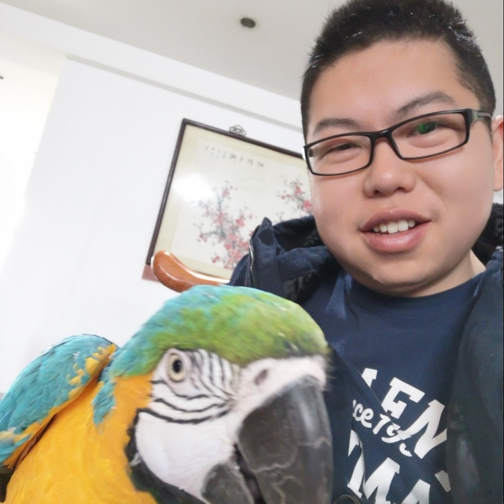 davi随波逐流的照片