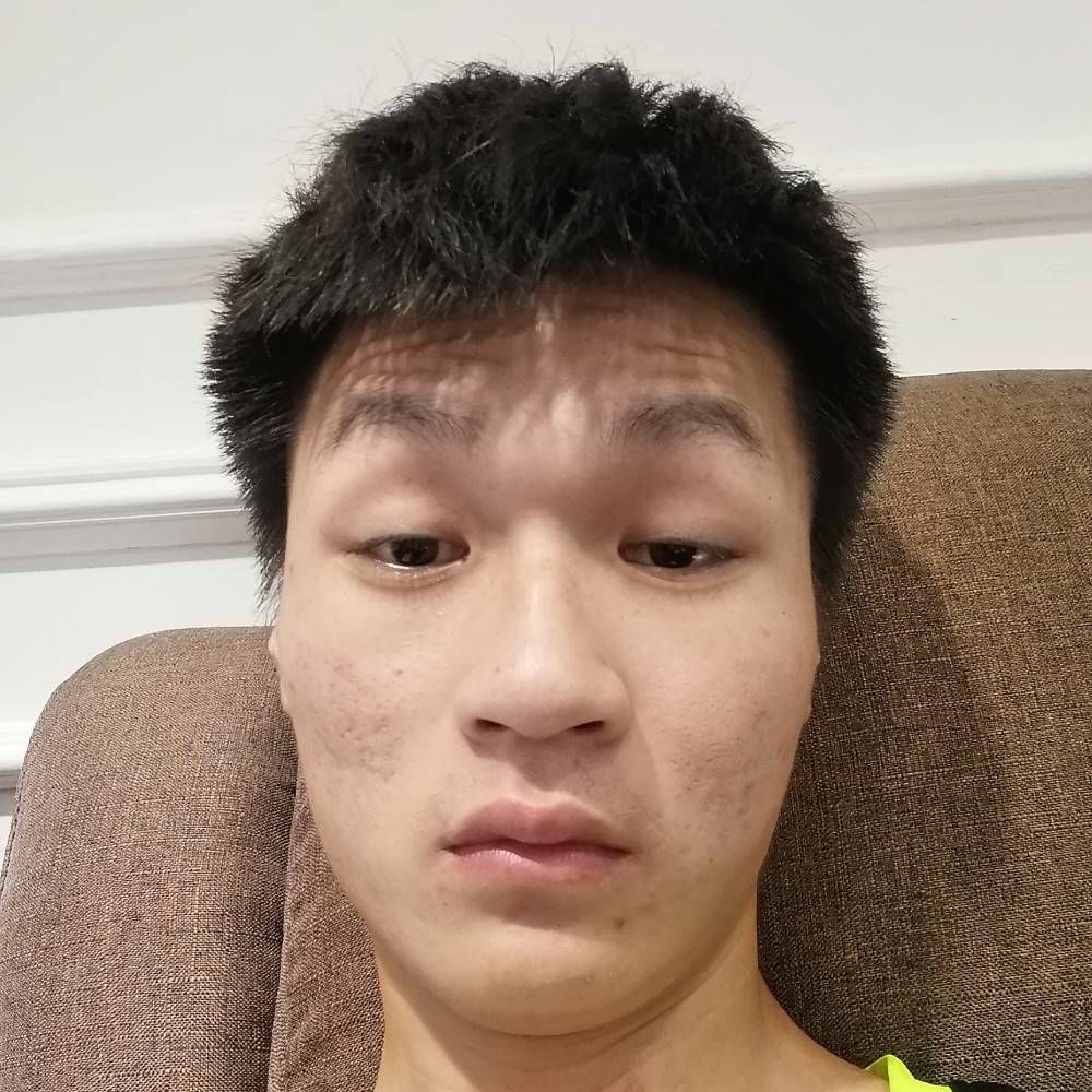 洋葱沉静的照片