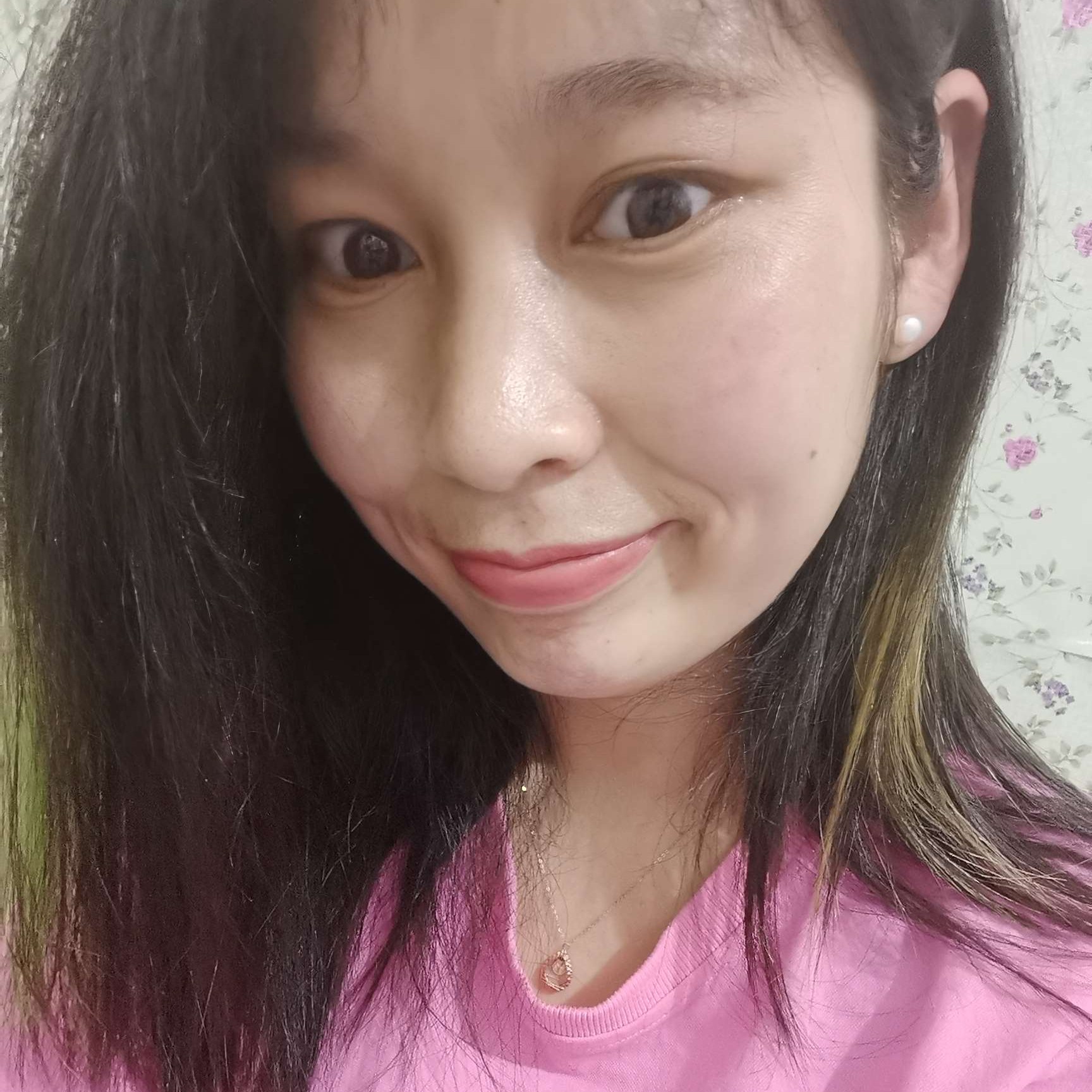 小海豚相许长情的照片