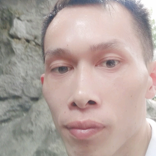 58波维奇的照片