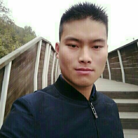 荣誉辉煌的照片