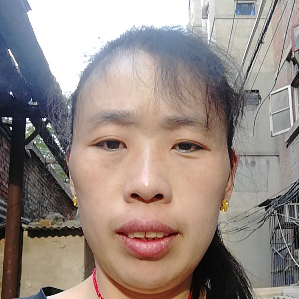 单薄迎百合的照片