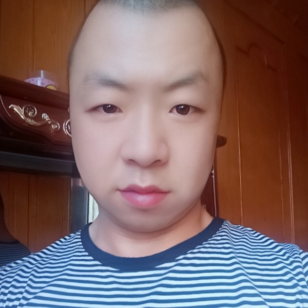 清爽大象的照片