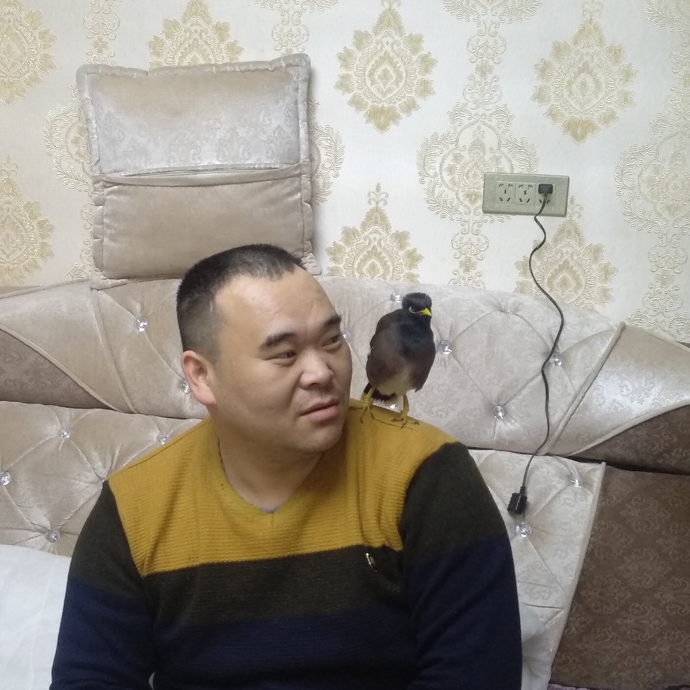 大叔人生的照片