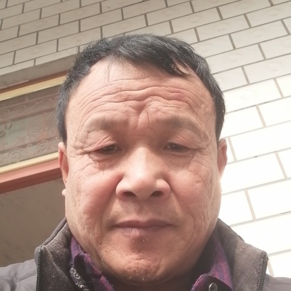 执着向哈密瓜的照片