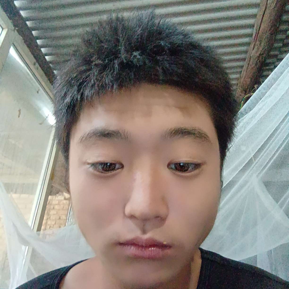高贵倾心数据线的照片