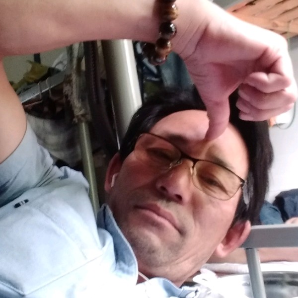 寂冷的小蚂蚁的照片