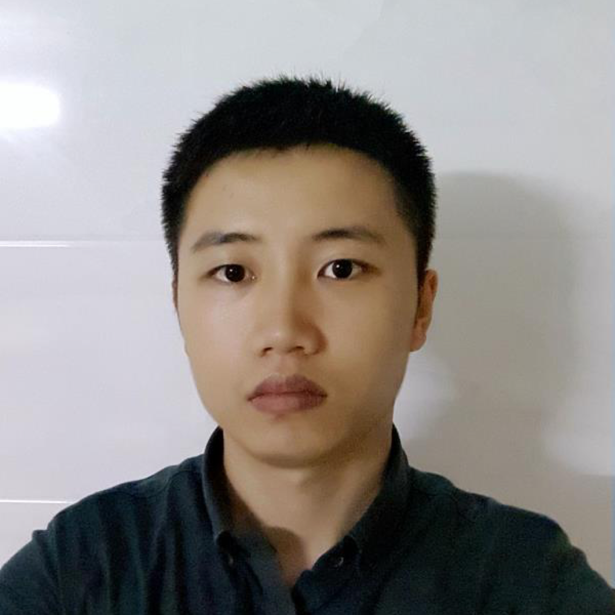 愉快那树叶的照片