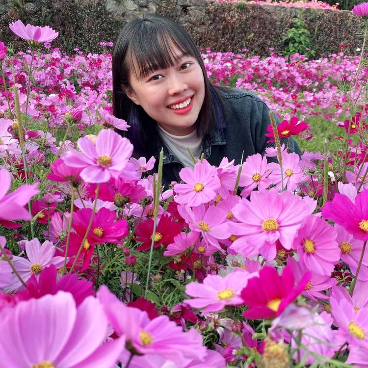 清爽给钢笔的照片