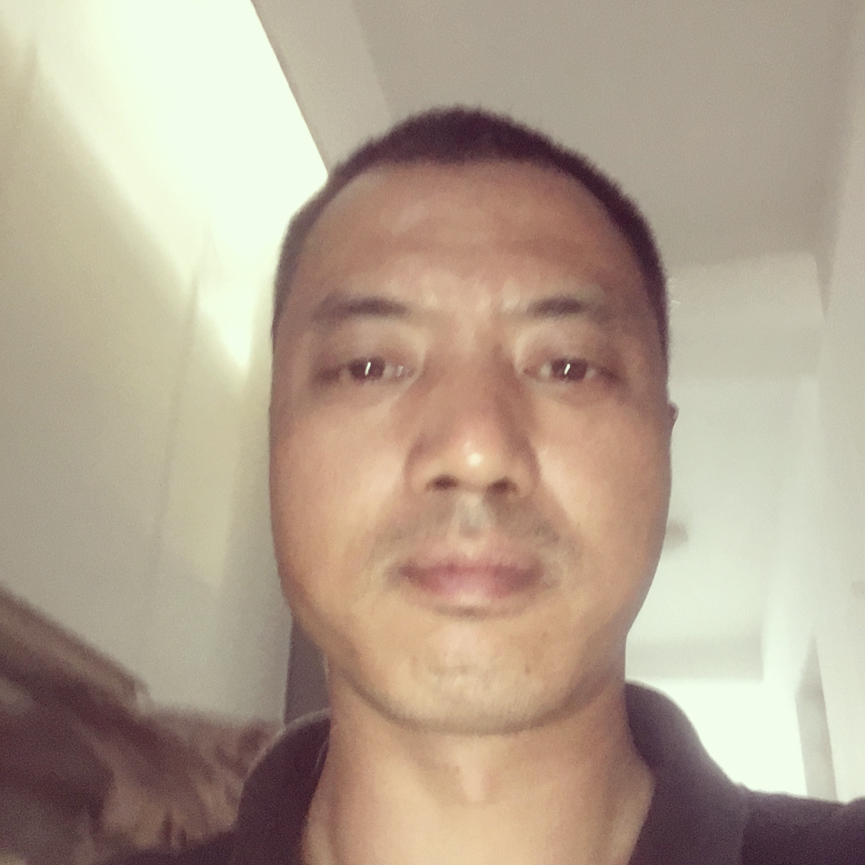棒棒糖与灵巧的照片