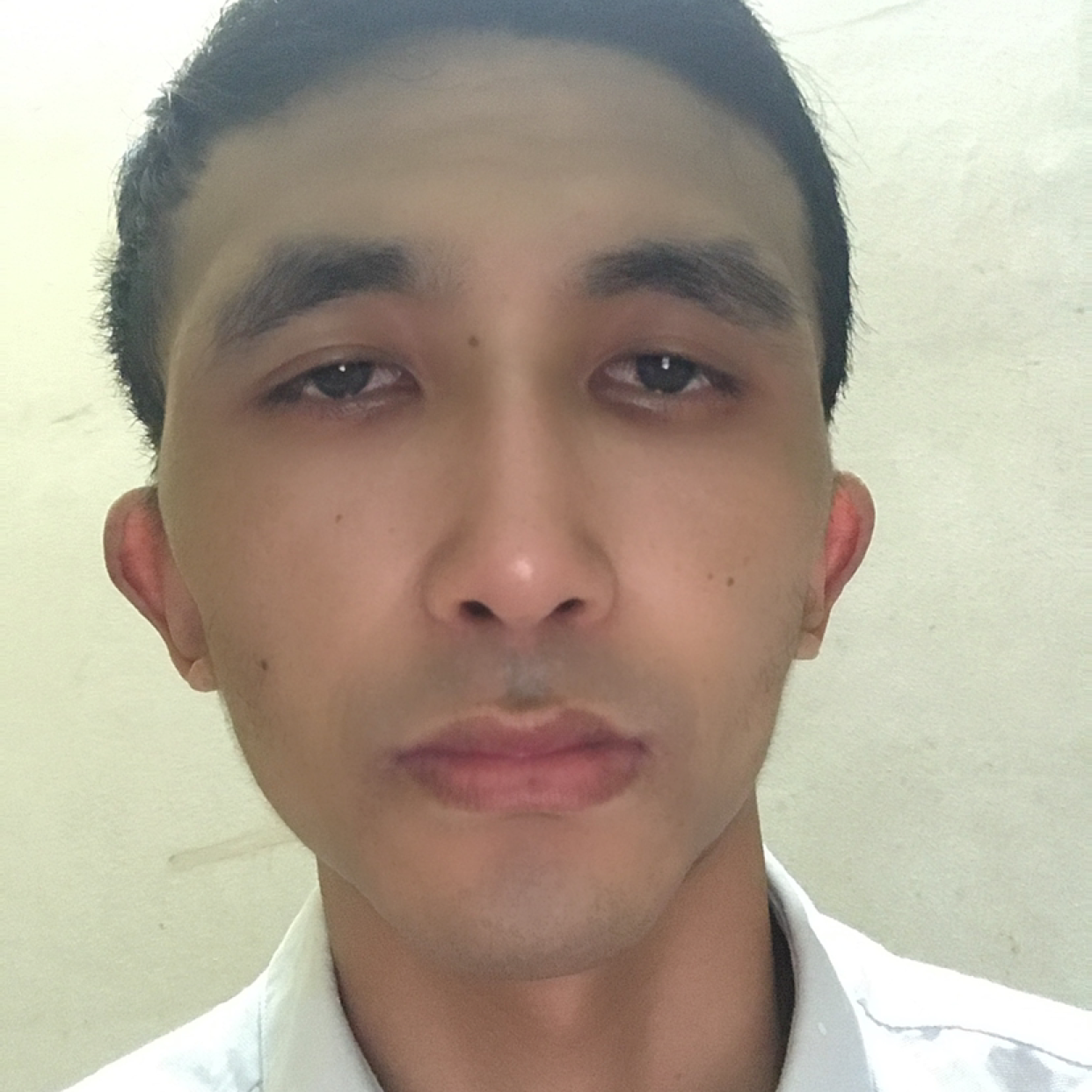 元气漫漫的照片