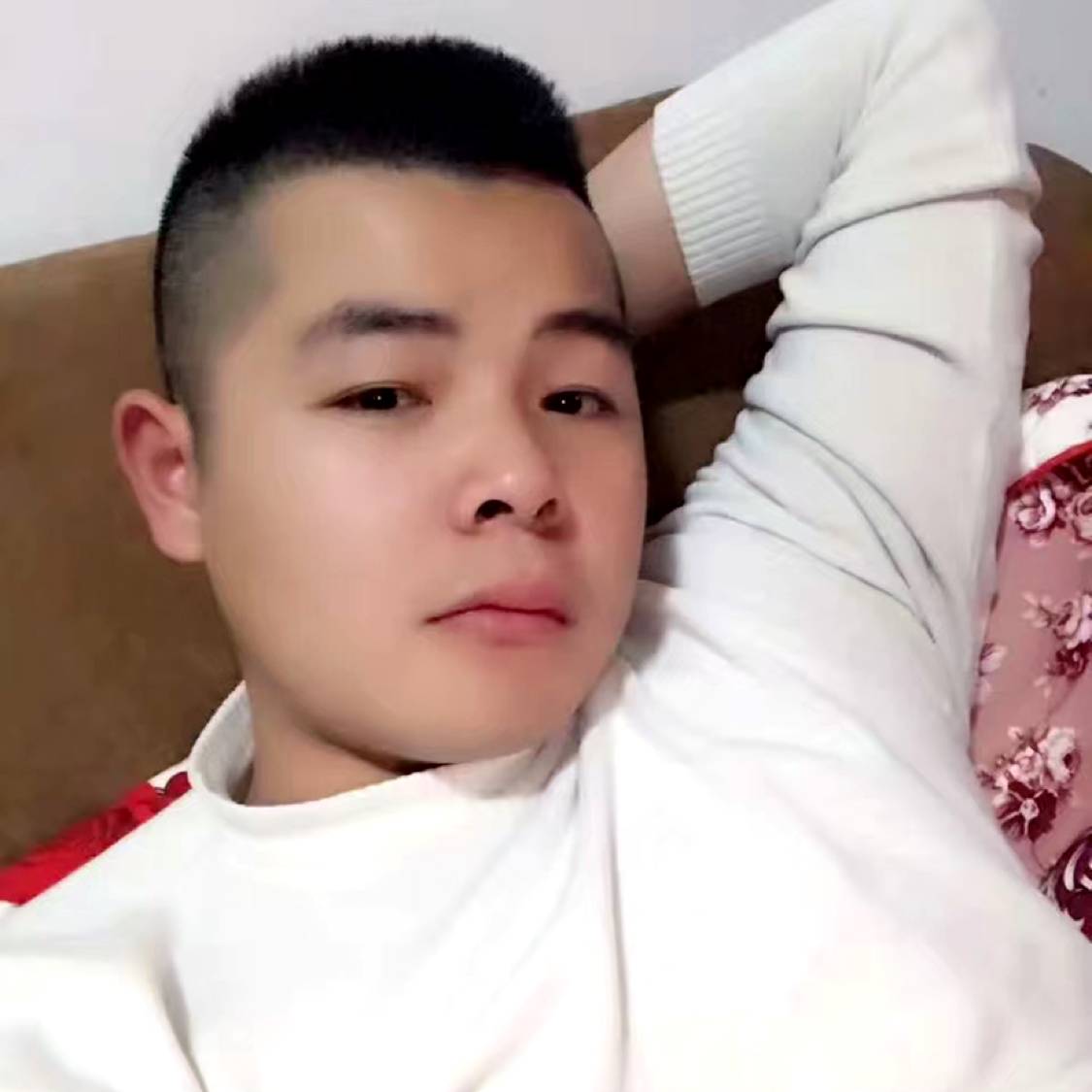聪哥6的照片