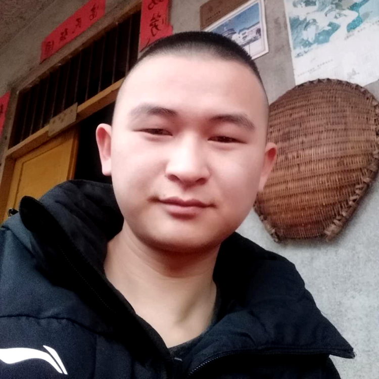 楼里的照片