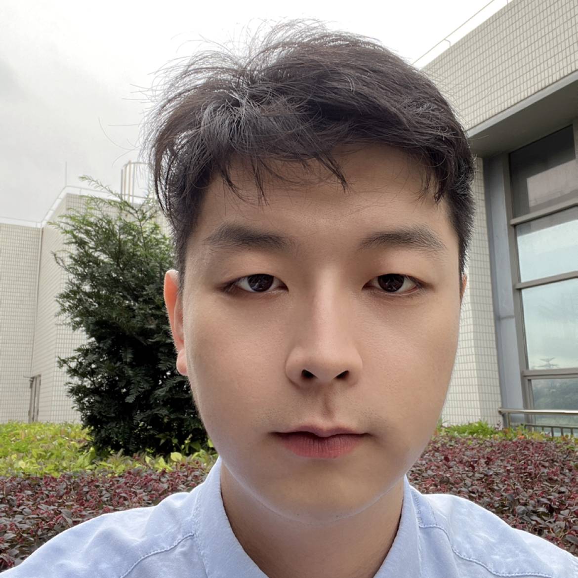 徐徐兴起的照片