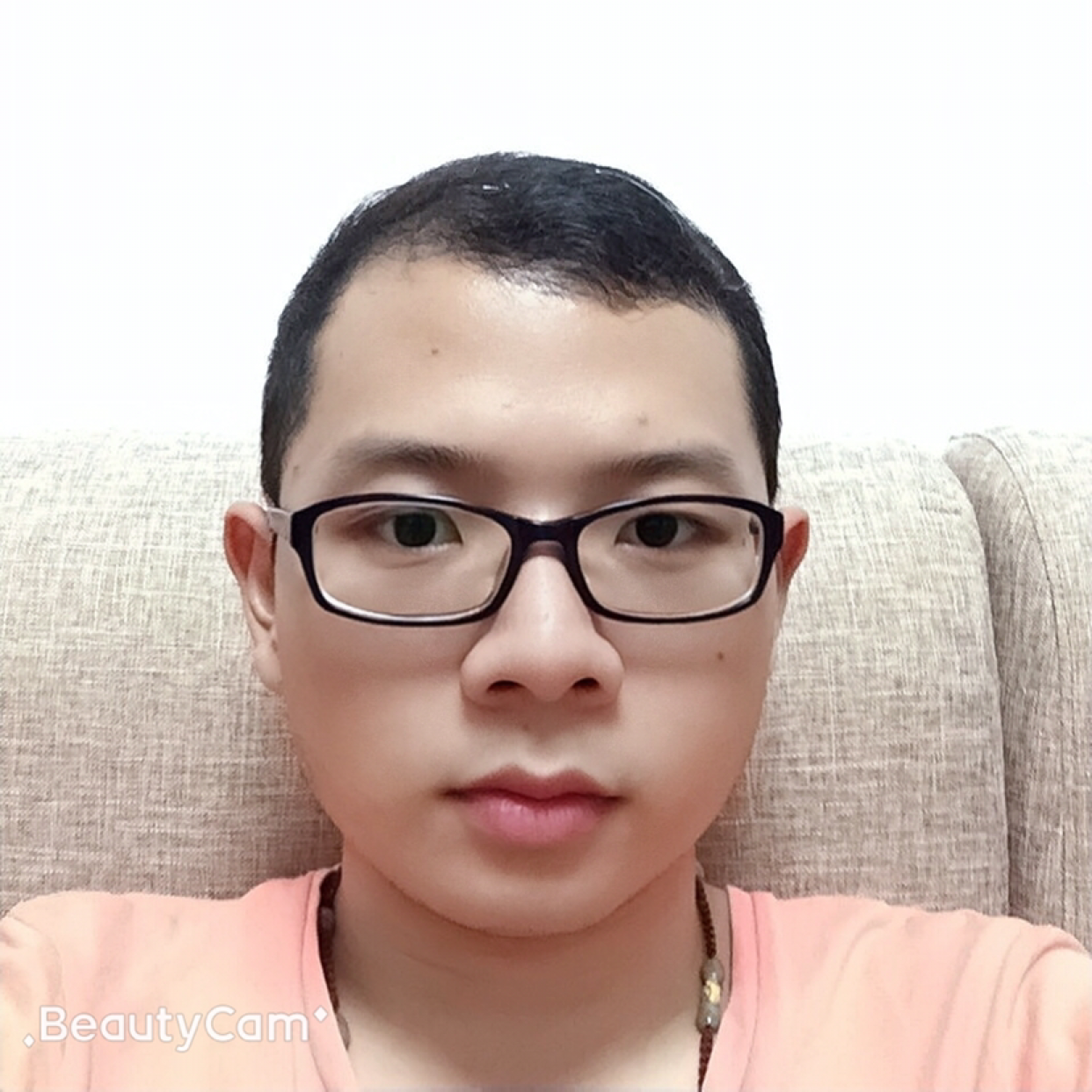 撒娇小刺猬的照片