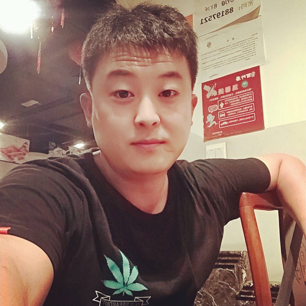 不过是只猫的照片