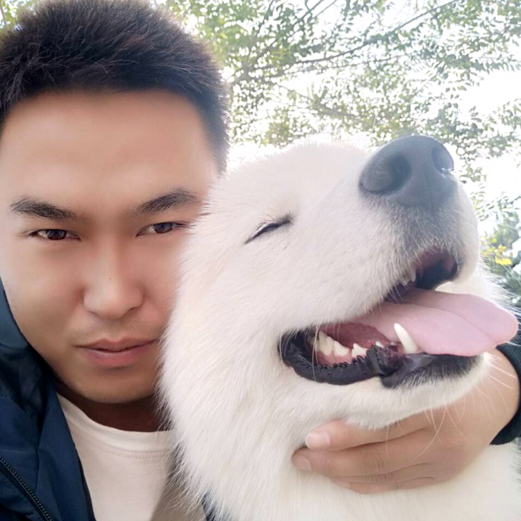 化羽爱恋失眠的照片