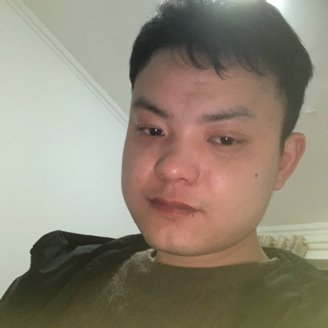 白猫那无辜的照片