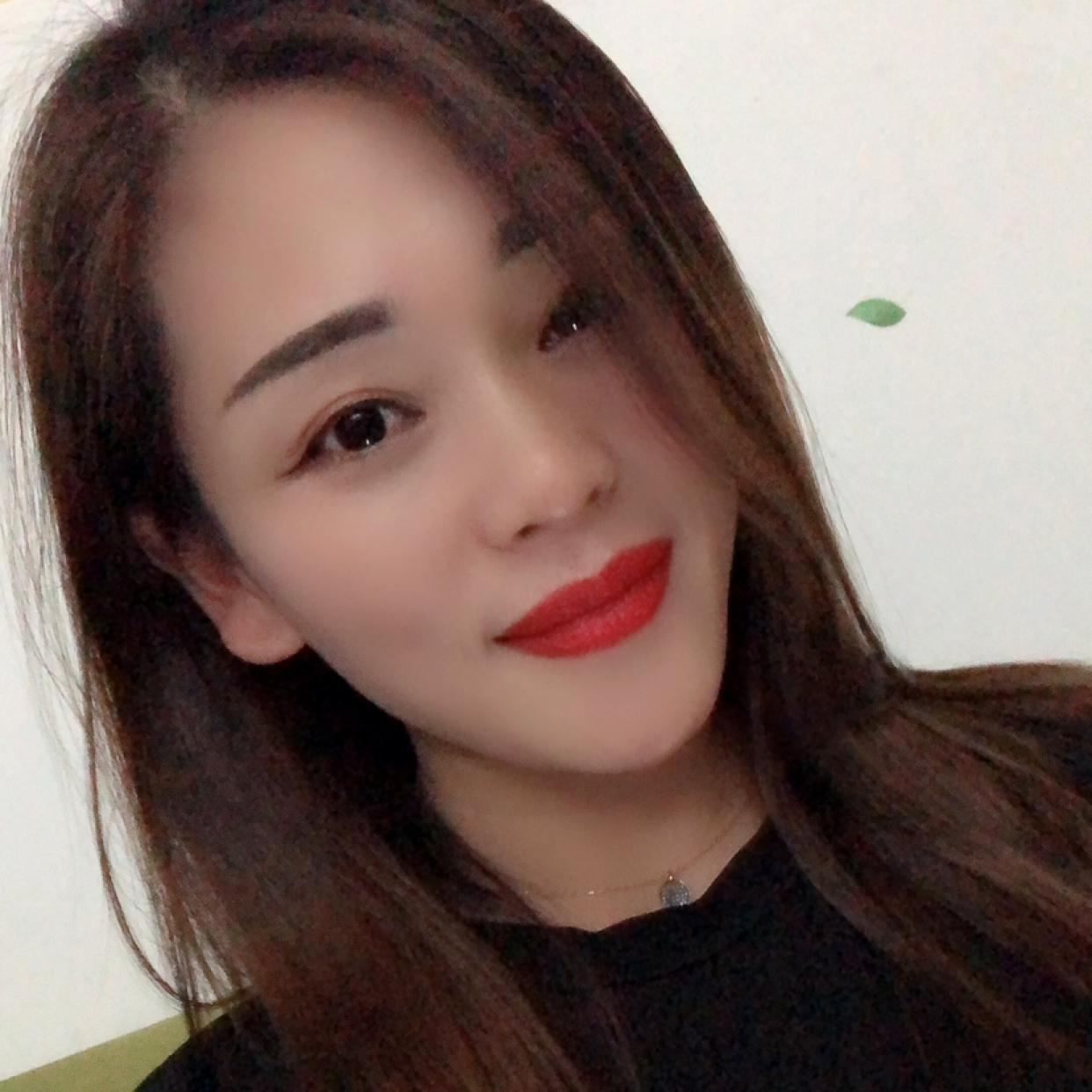 蚂蚁就坚强的照片