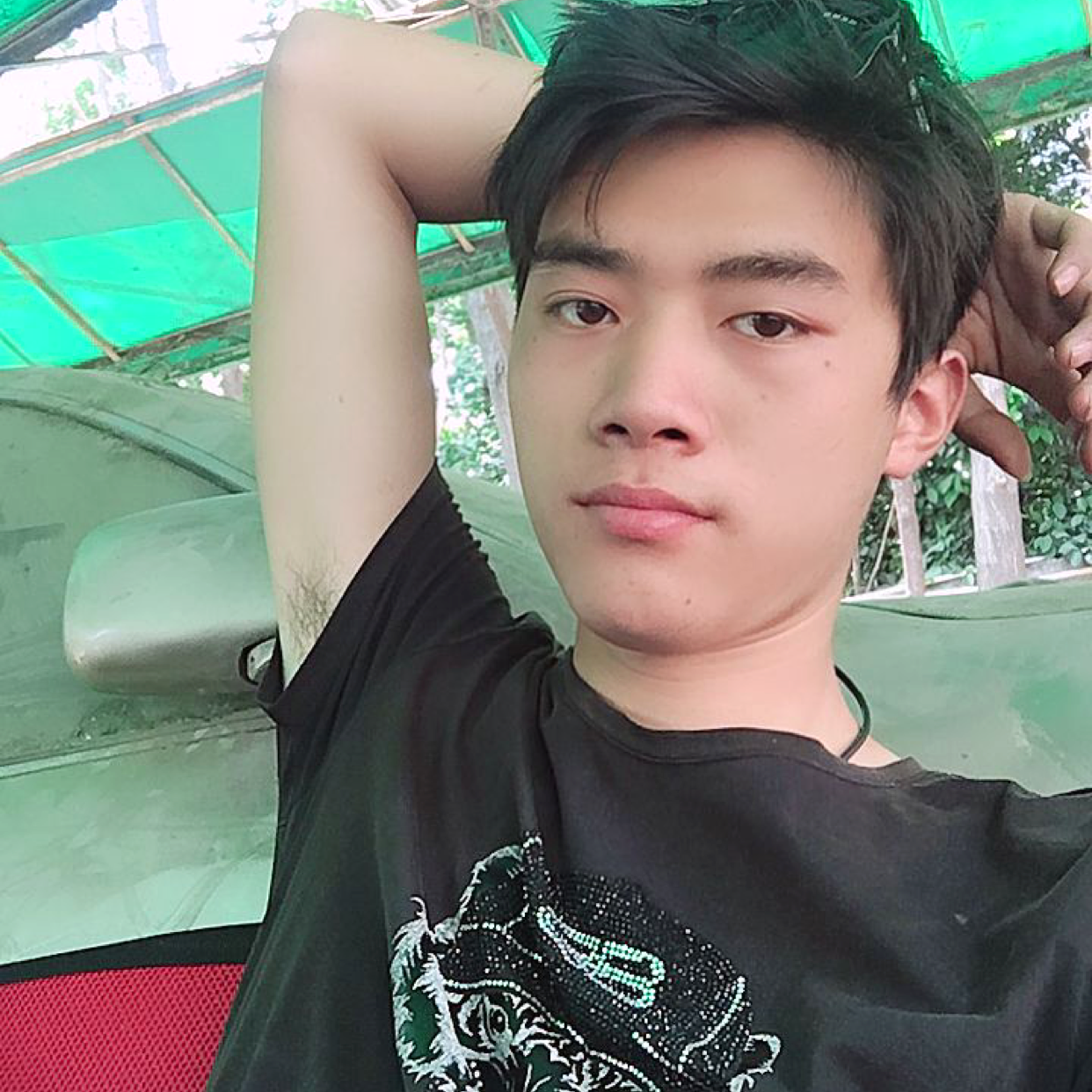 果子狸猫的照片