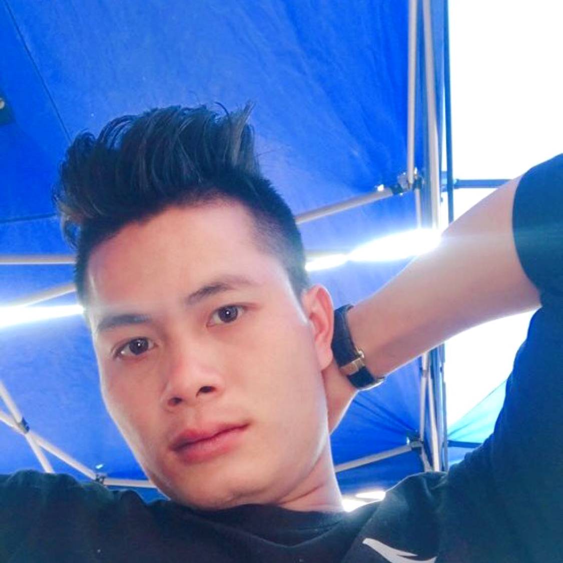 呆萌挽手小天鹅的照片