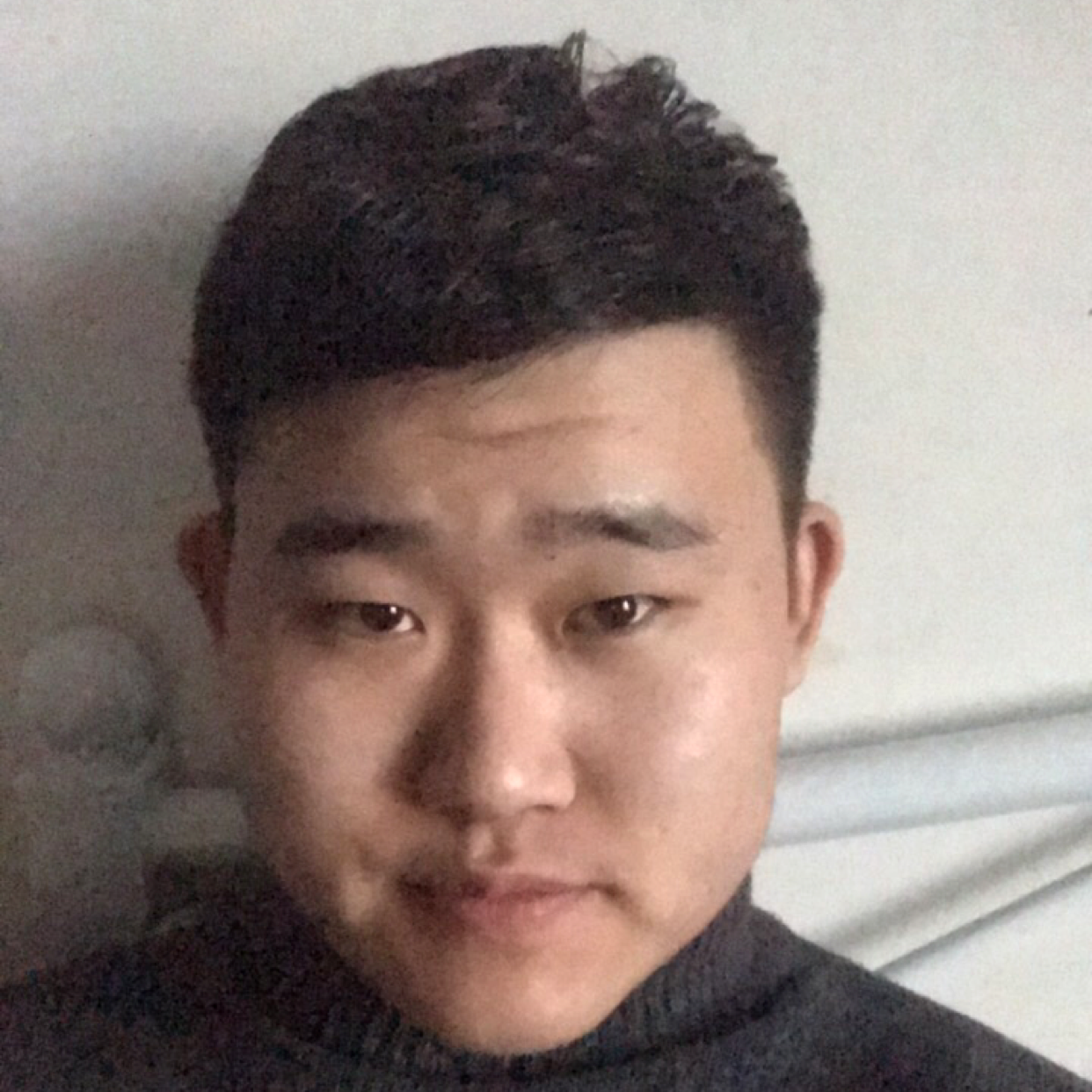 月光高挑的照片