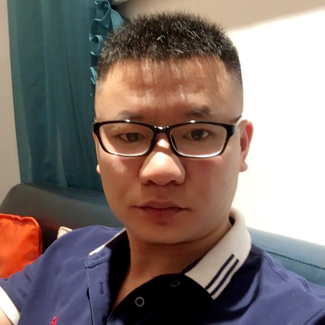 精通鸟语的照片