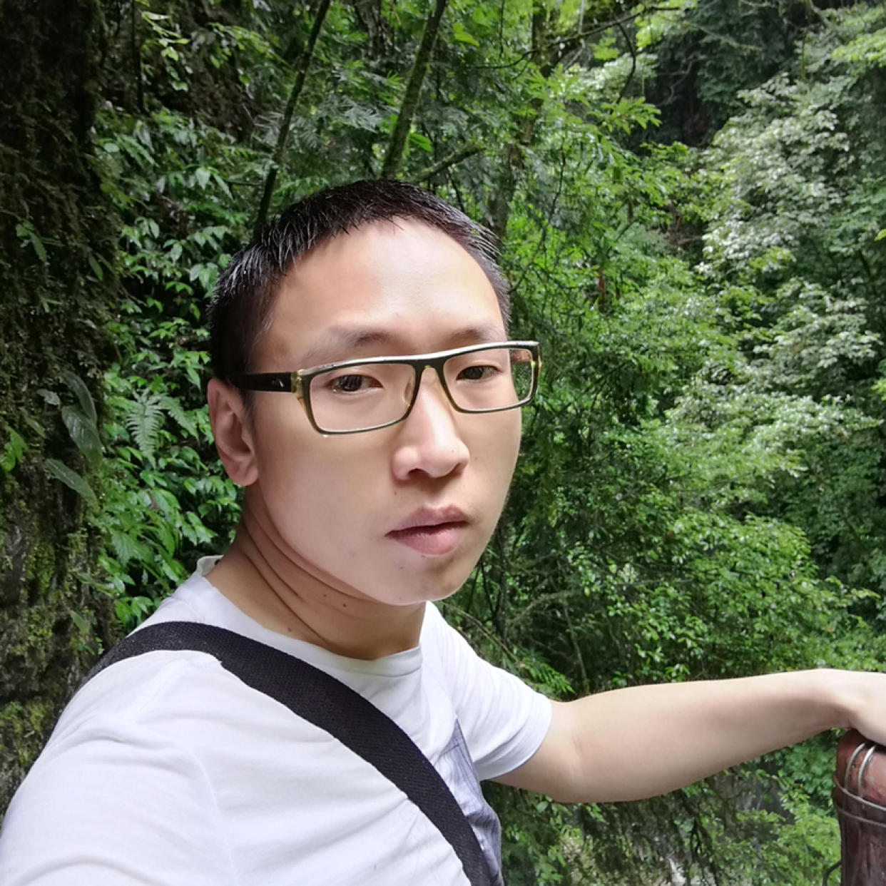 虚拟迎往事的照片