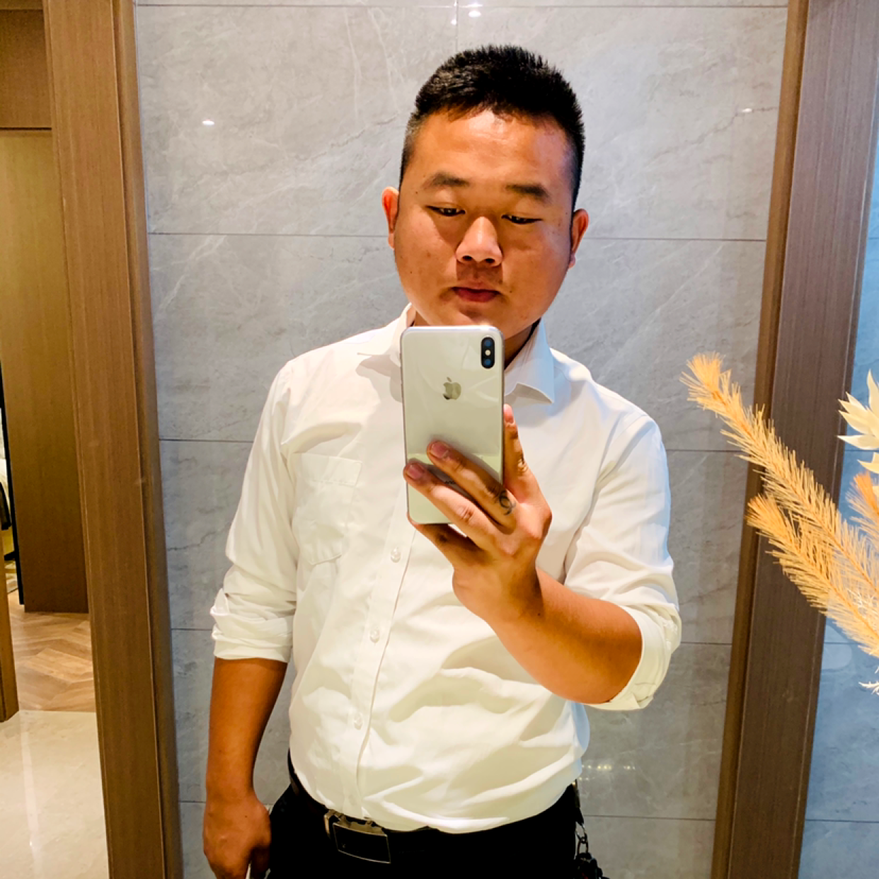 干净愿羽毛的照片