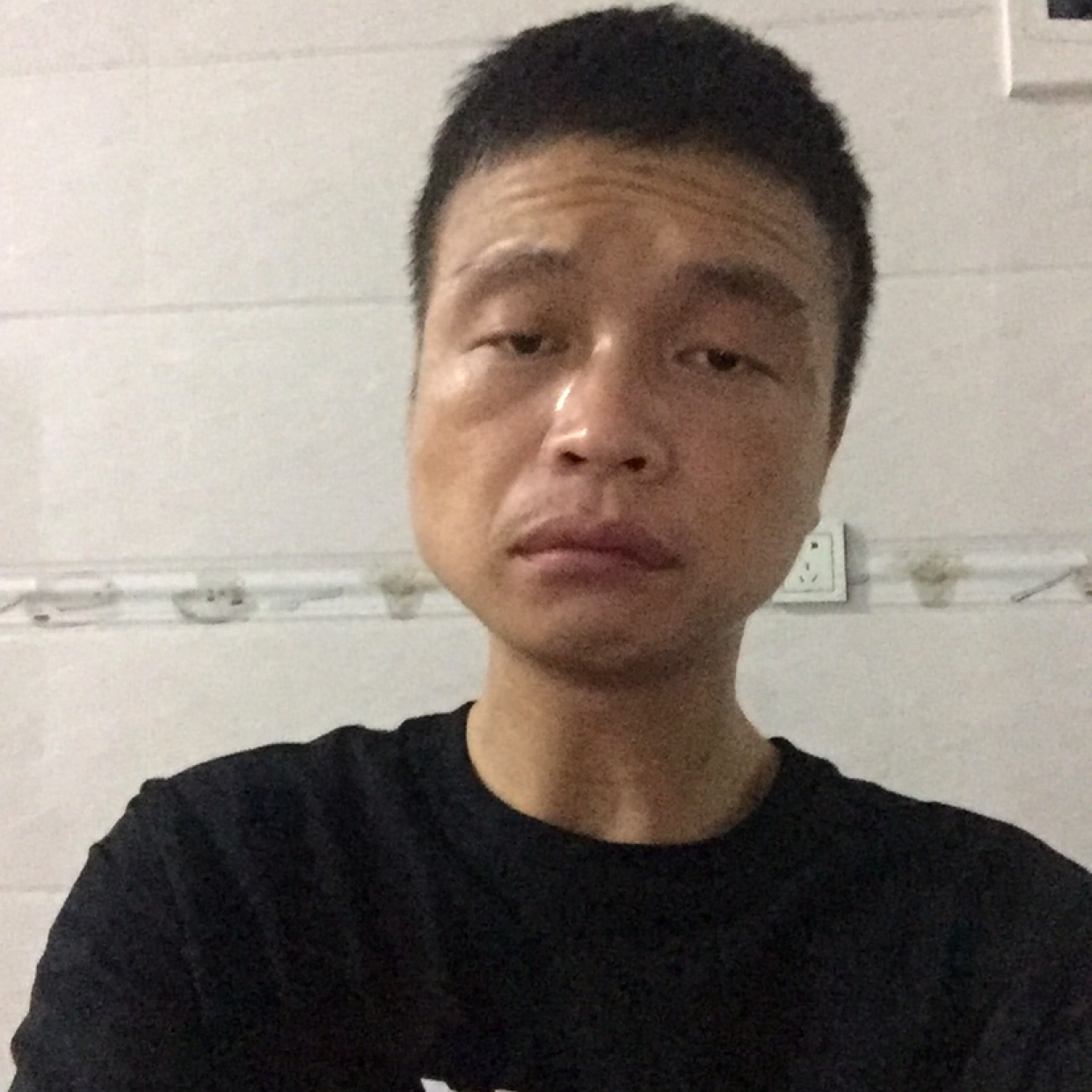 小海豚凝眸踏实的照片