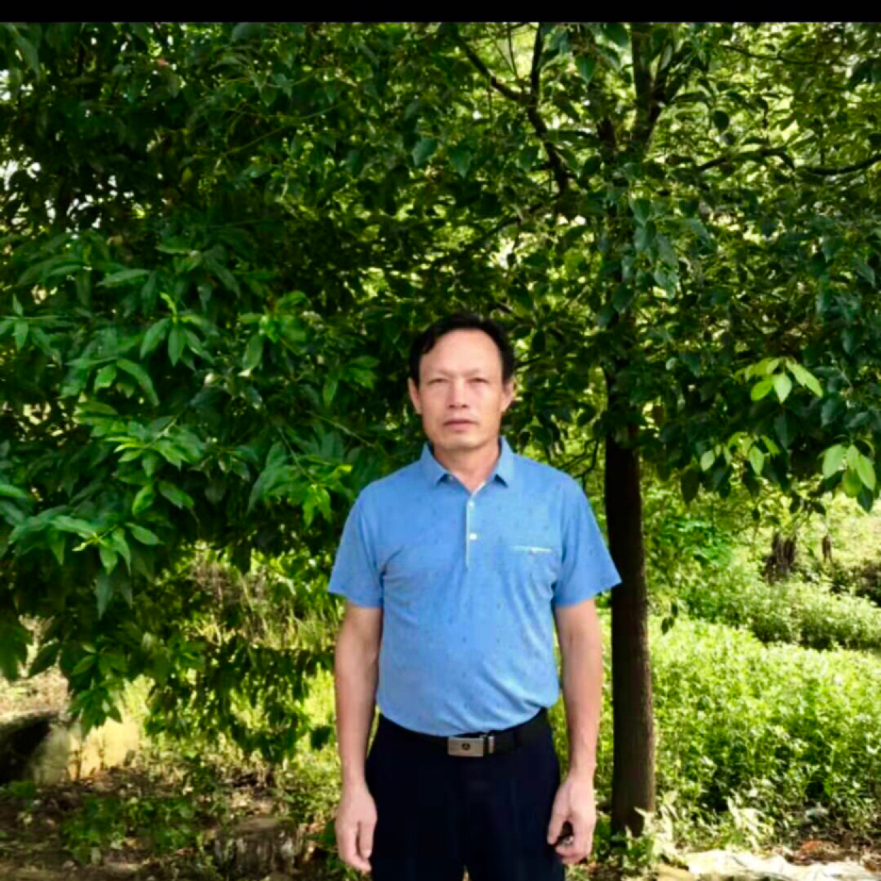 长颈鹿方务实的照片