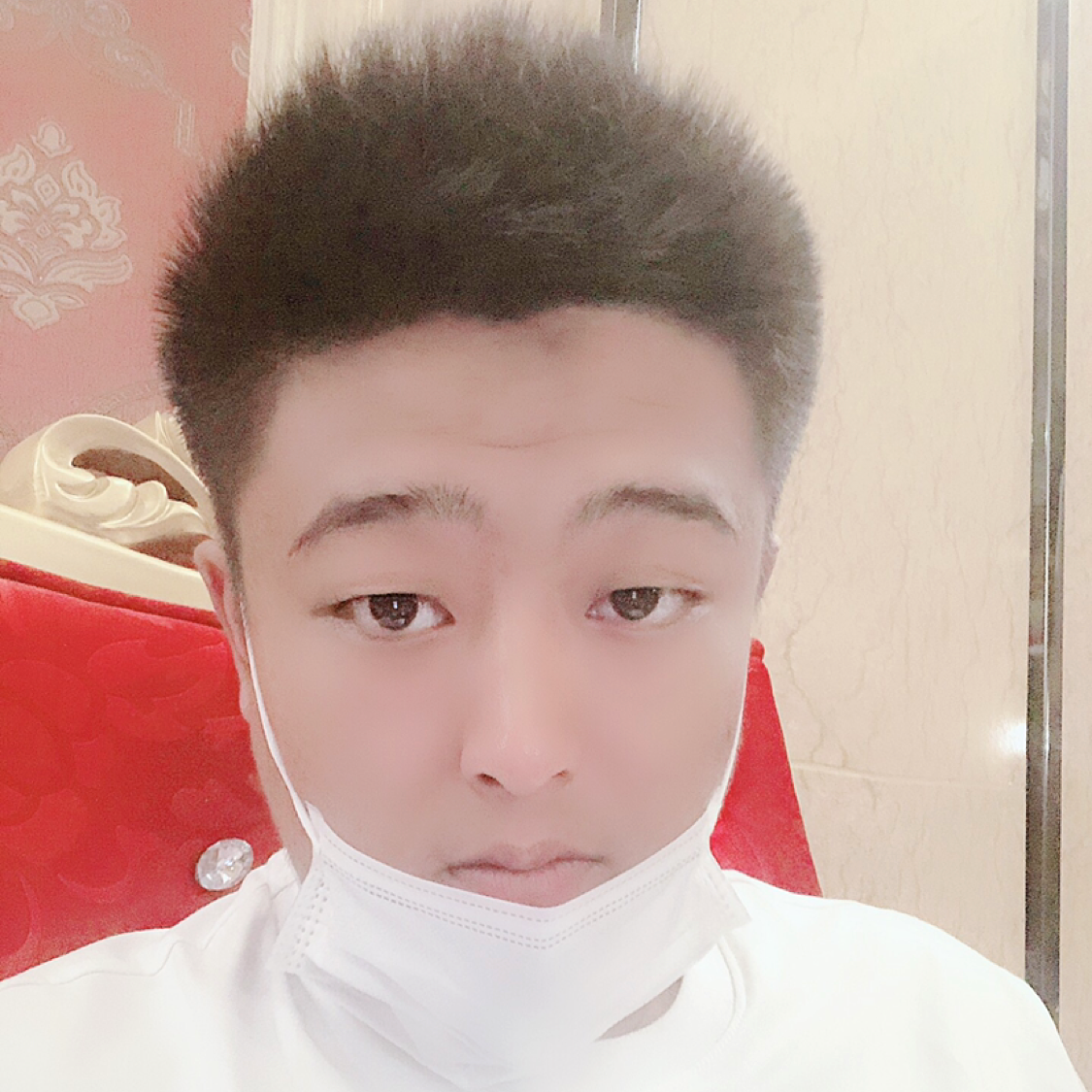 天一一天的照片