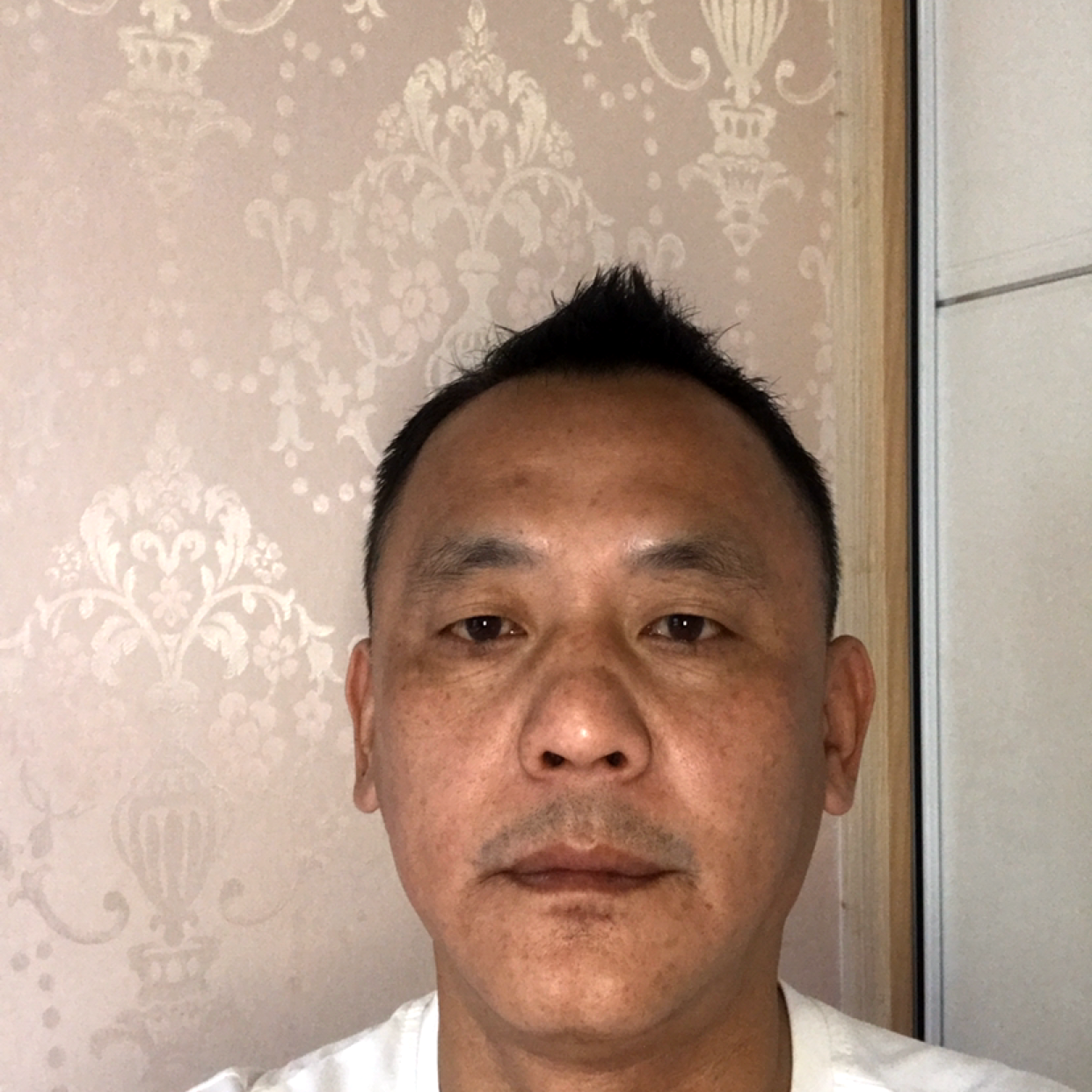 平淡迎流岚的照片