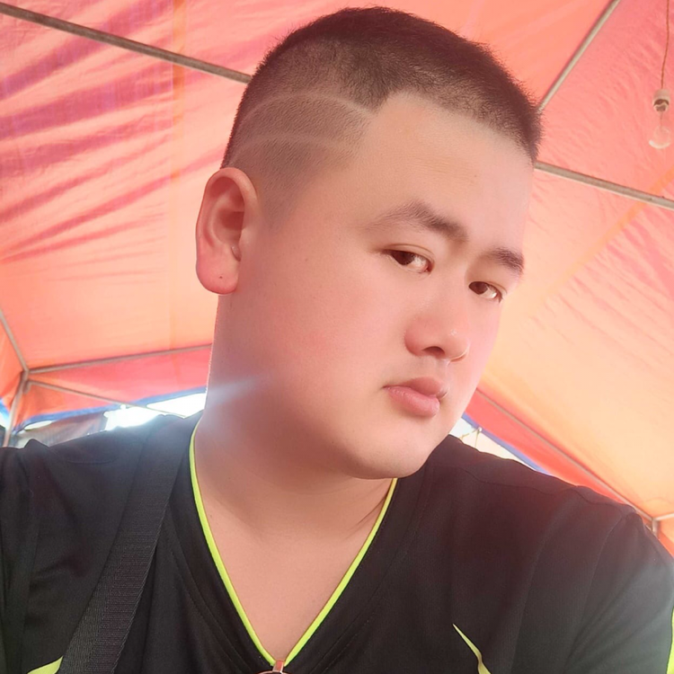绿草还单身，的照片