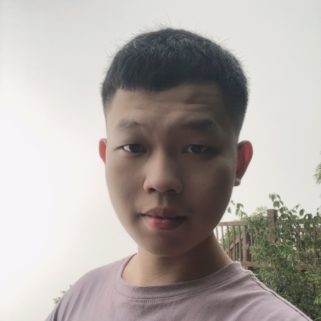 谁解相思意的照片