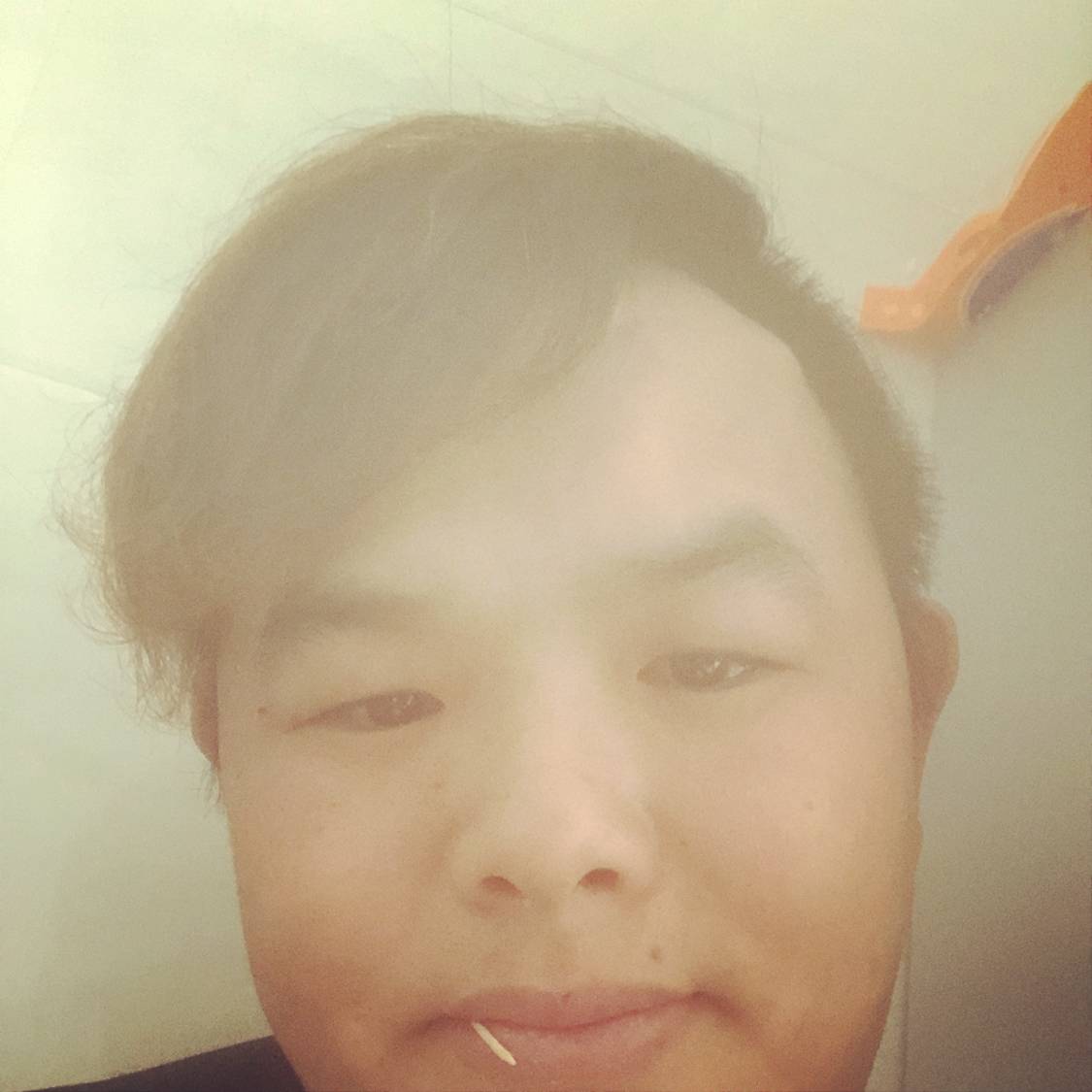 玫瑰与神勇的照片