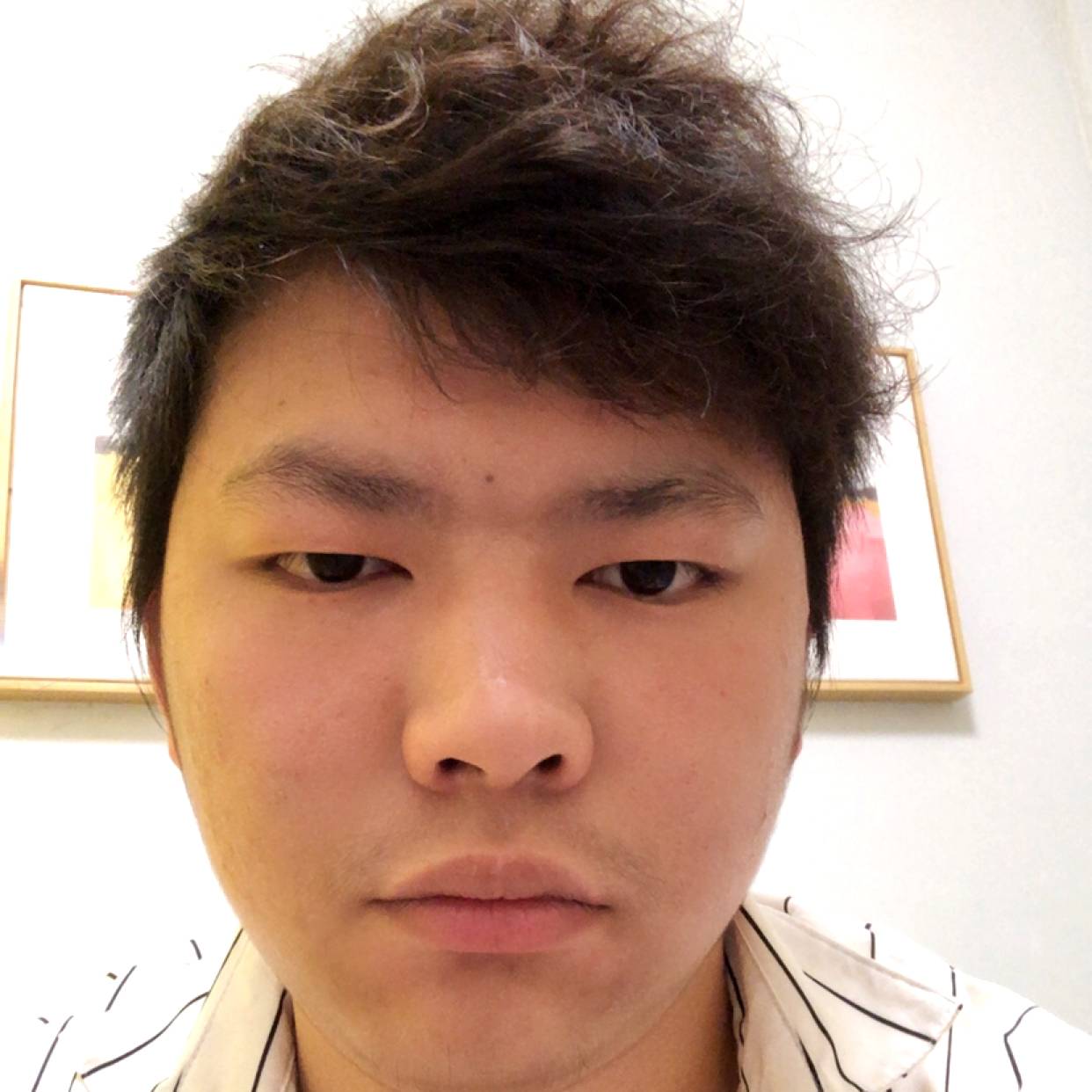 认真等待鸵鸟的照片