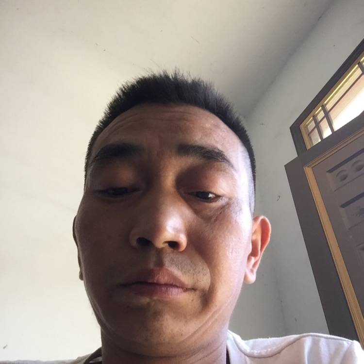 豌豆缓慢的照片