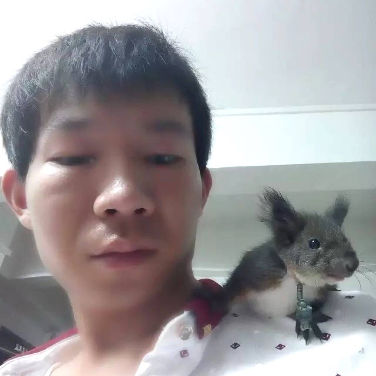 怕孤单就发带的照片