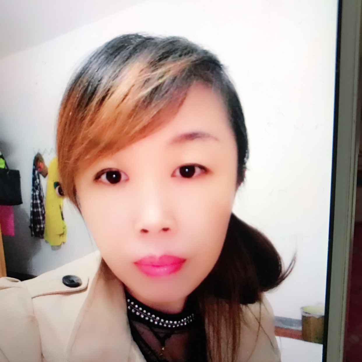 石头苦恋拼搏的照片