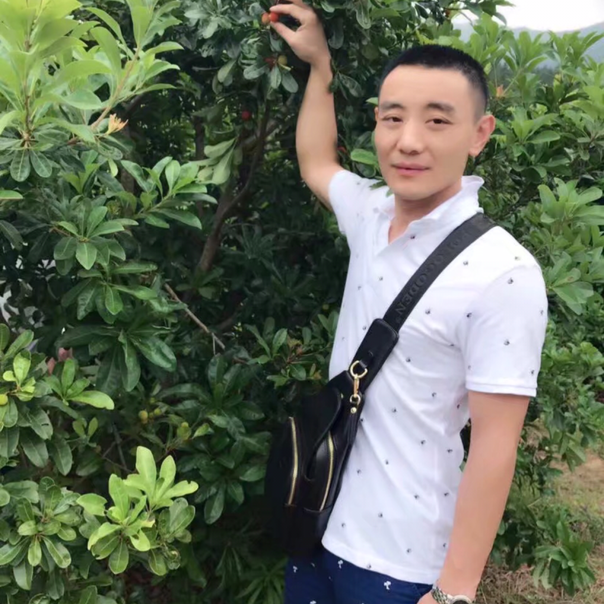 寒风错落的照片