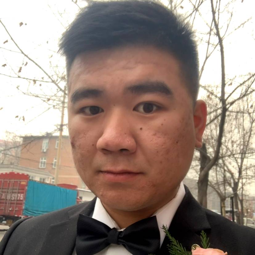 猎豹方隐形的照片