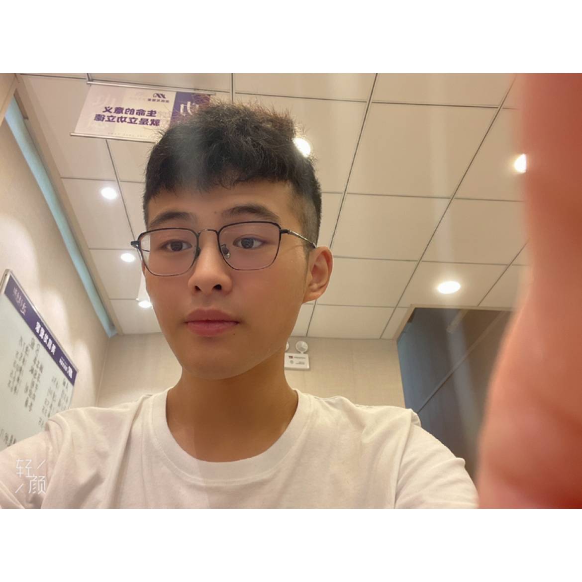 皮卡丘分皮的照片