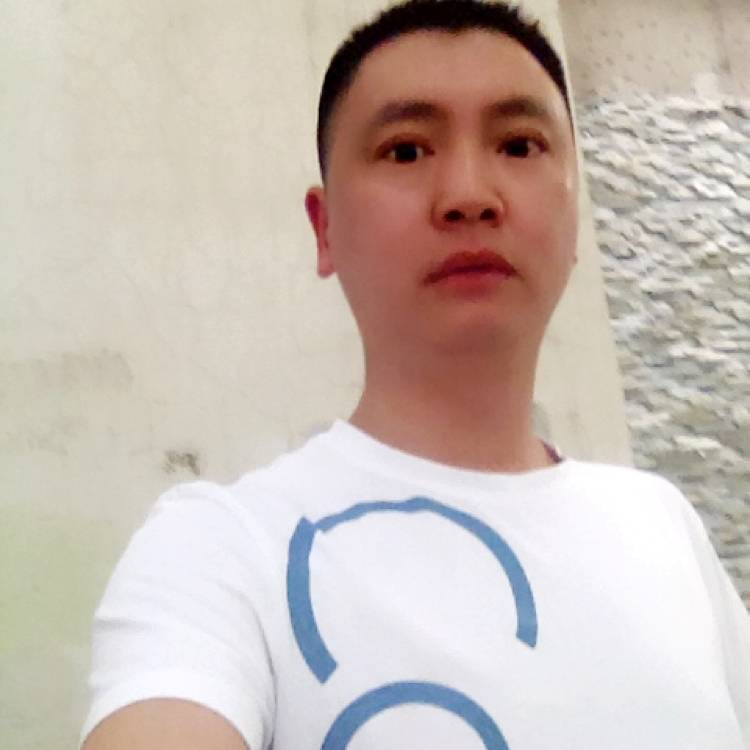 稳重愿含羞草的照片