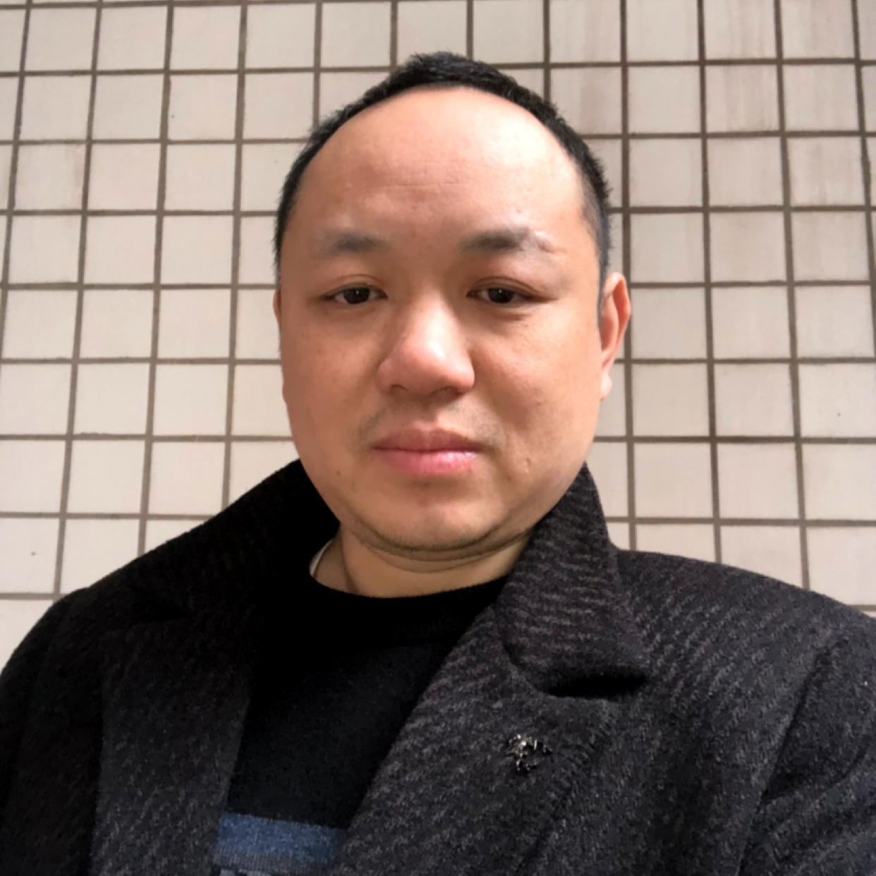 惊鸿倾心迅速的照片